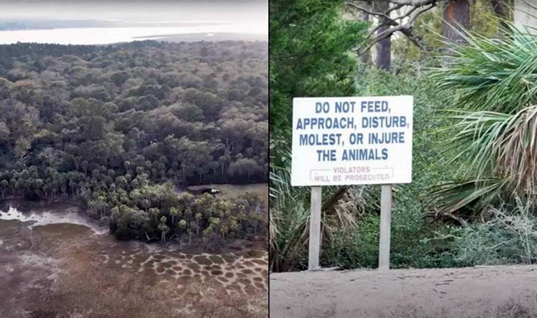 Bu adaya değil ayak basmak yaklaşmak bile yasak! Uzmanlar uyarıyor: Felaketle sonuçlanabilir 4